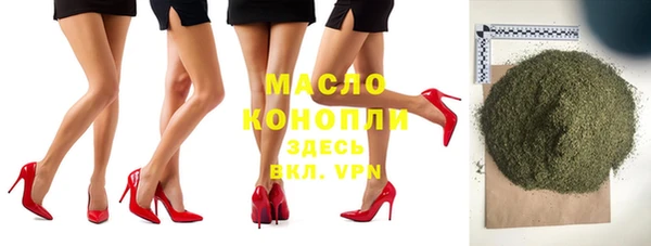молекула духа Пестово