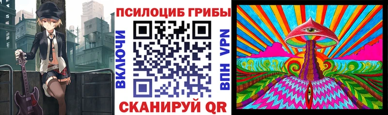 Псилоцибиновые грибы прущие грибы Беслан